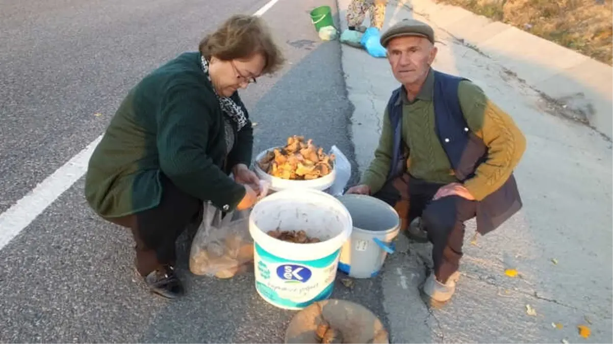 Melki Köylülerin Geçim Kaynağı Oldu