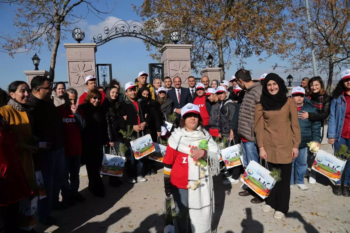 Sevgi Çiçeği Tohumları Toprakla Buluştu