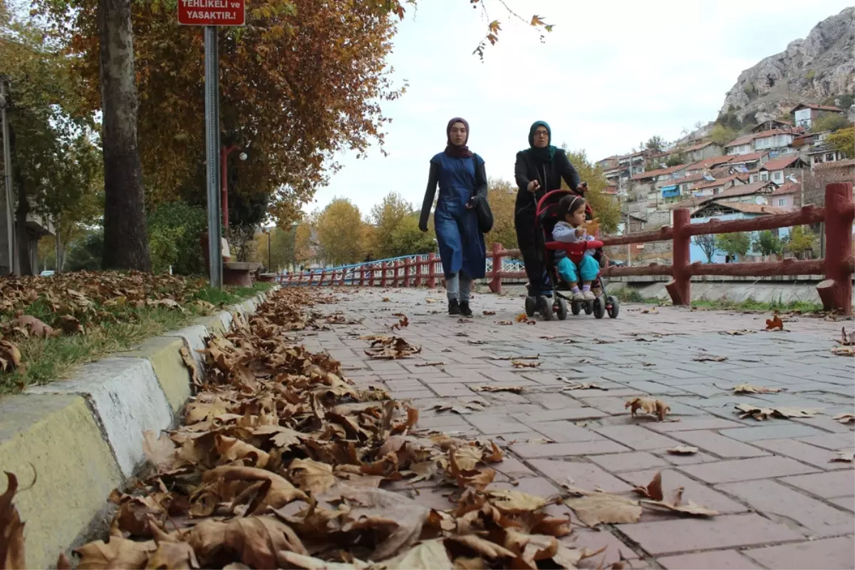 Sonbahar Yaprakları 3 Gün Boyunca Süpürülmeyecek