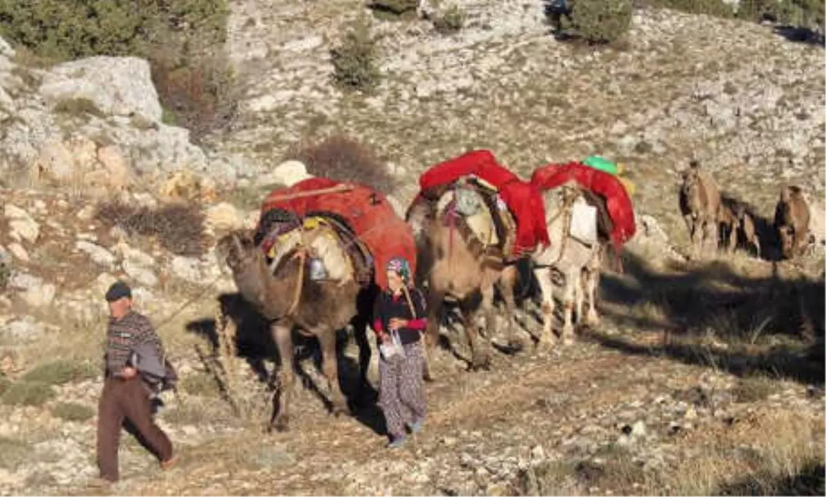 Torosların Son Göçerleri, Dönüş Yolunda