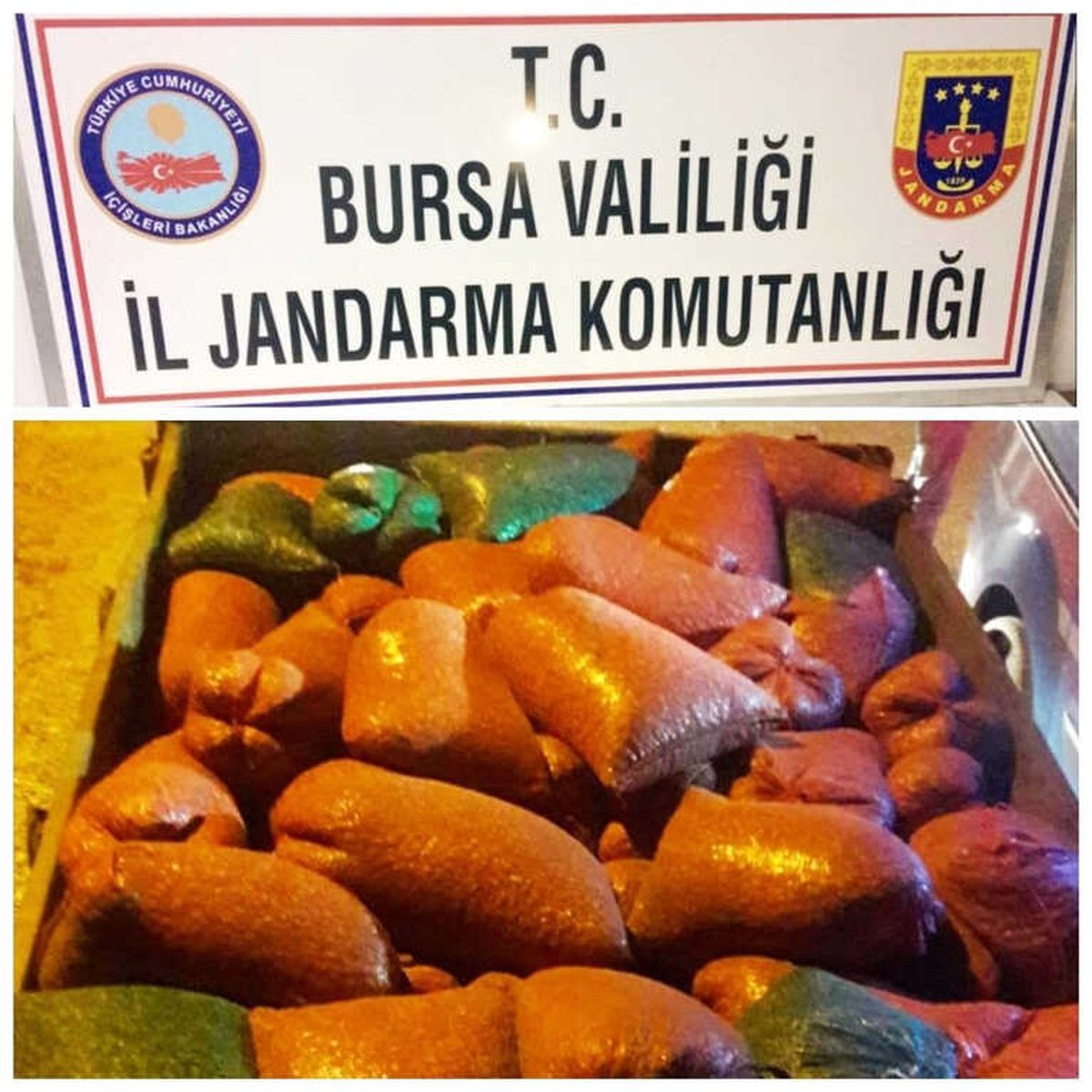 Traktör Römorkuna 2 Ton Midye Gizlemişler