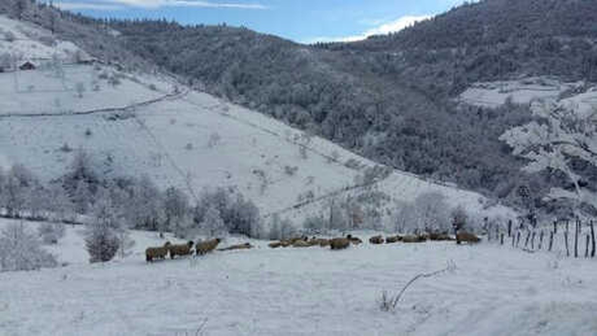 Karadeniz Yaylalarında Kar Manzaraları