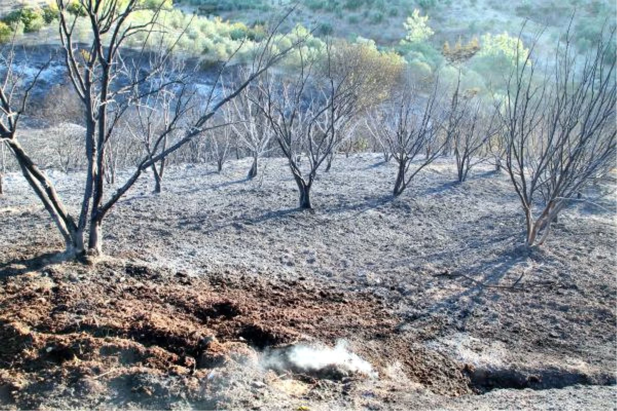 Manavgat\'ta Yangının Bilançosu Gün Ağarınca Ortaya Çıktı