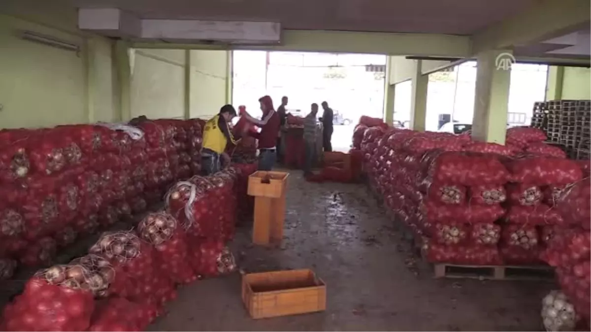 Spekülatörlerin Soğandaki Fiyat Oyunu Bozuldu"