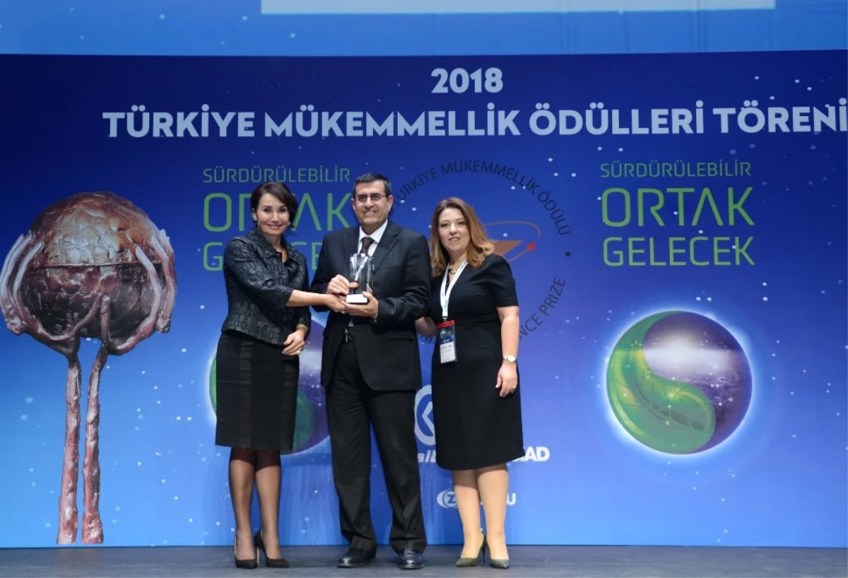 Türkiye Mükemmellik Ödülü Çedaş\'ın