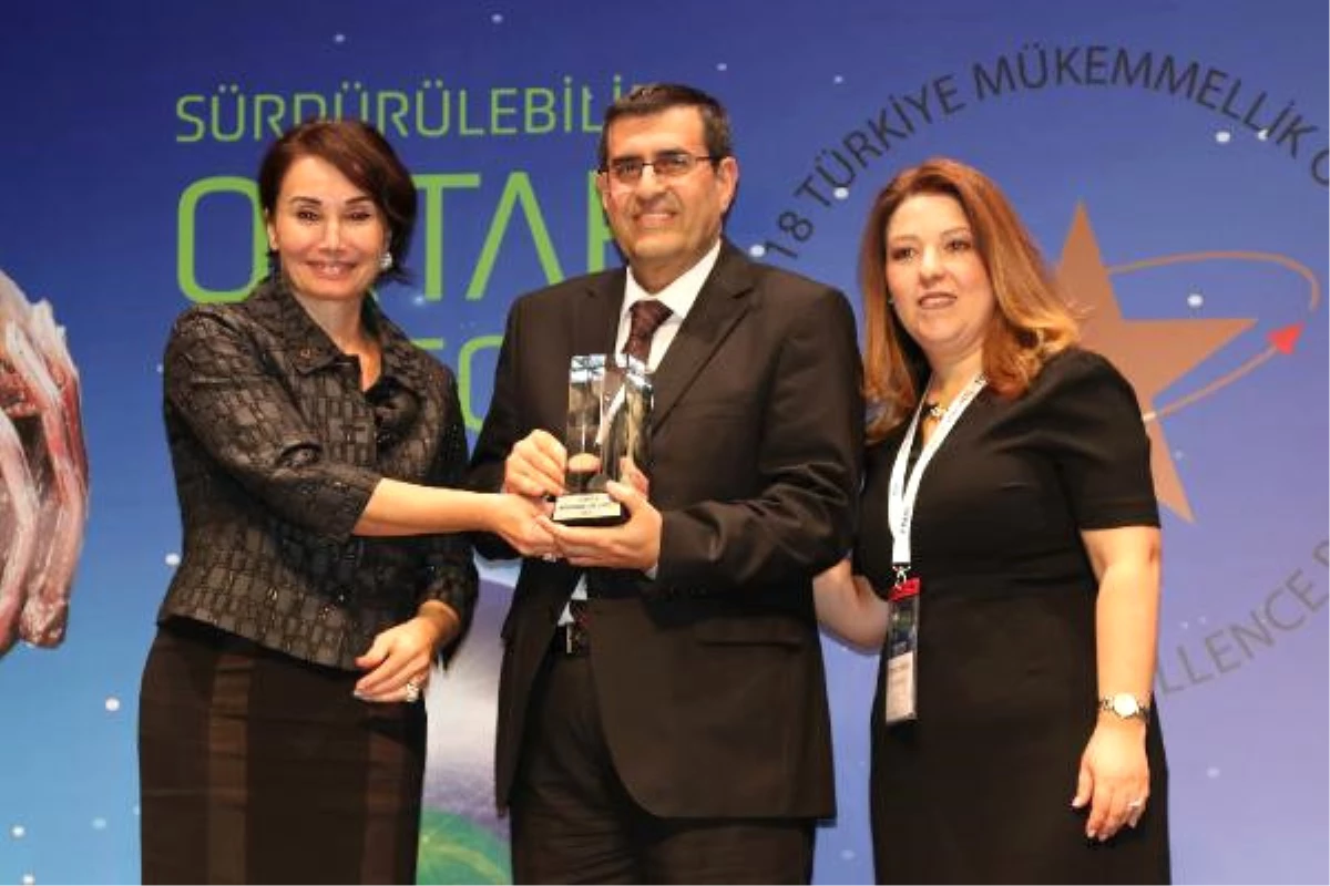 Türkiye Mükemmellik Ödülü Çedaş\'ın Oldu