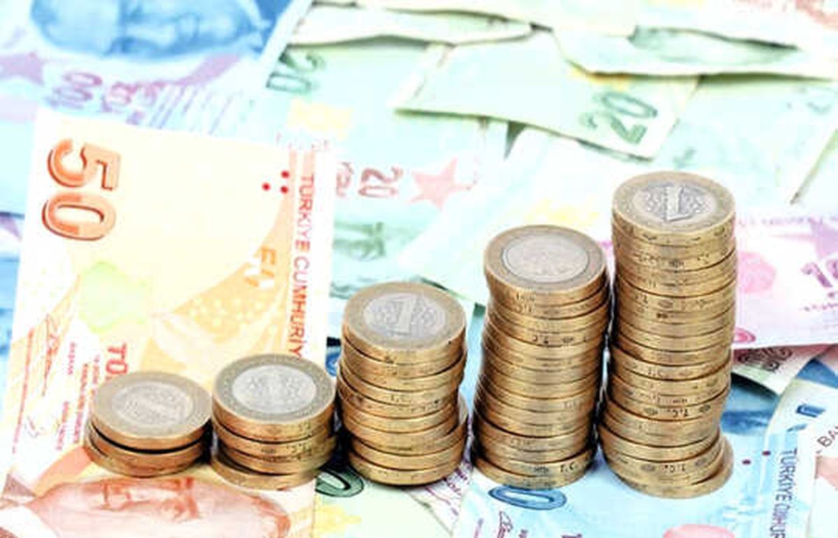 2019, TL\'de Yüksek Getiri Yılı Olacak