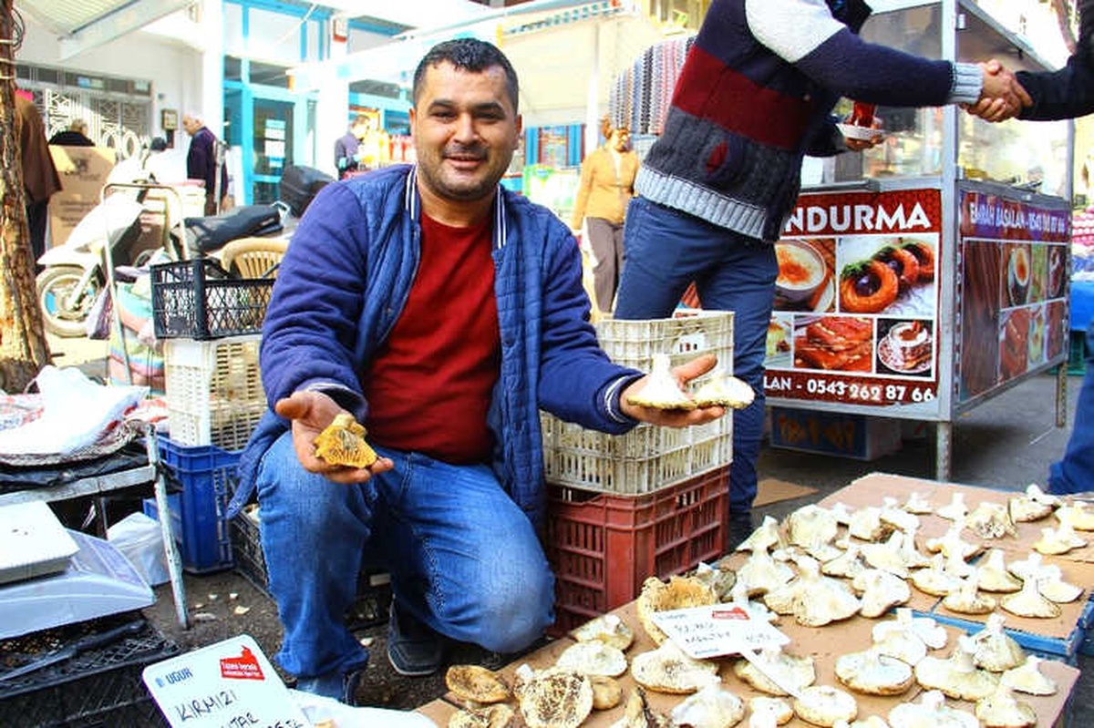 Aydın\'da Yağış Olmayınca Mantarın Fiyatı Tavan Yaptı