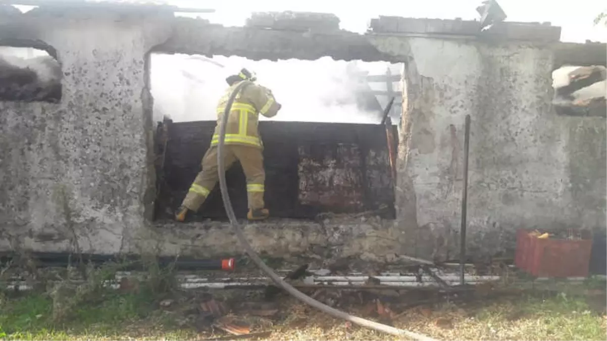 Ayvalık\'ta Pamuk Deposu Yangını