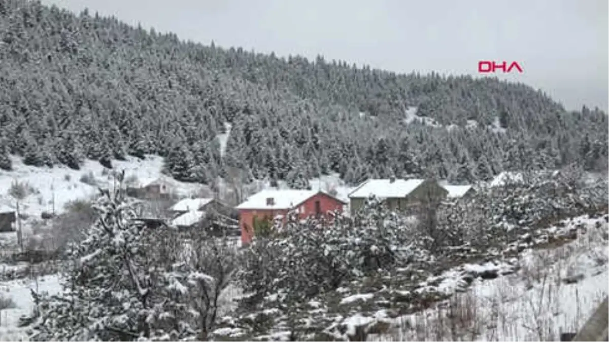 Bolu\'da Kar Yağışı