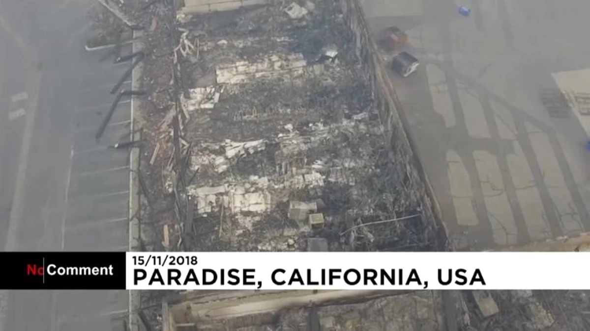 Kaliforniya\'daki Orman Yangınlarında Arama Kurtarma Çalışmaları Devam Ediyor