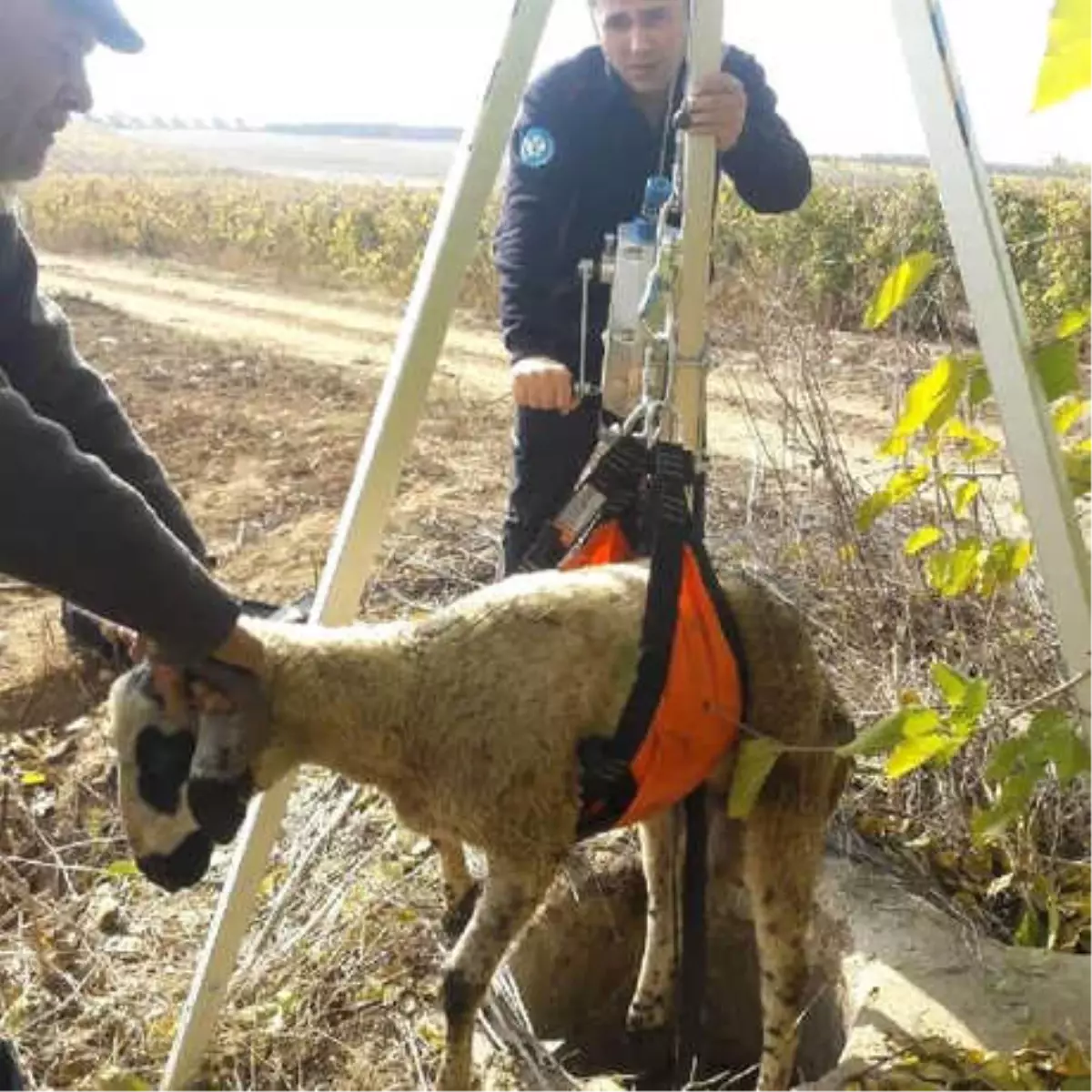Koyunu 8 Metrelik Kuyudan İtfaiye Ekibi Kurtardı