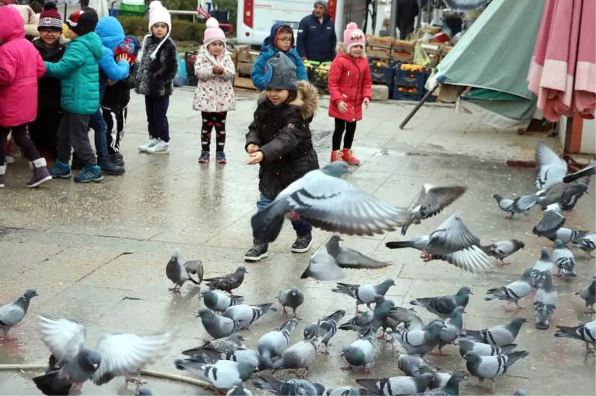 Minik Kalpler Sokak Hayvanları İçin Atıyor