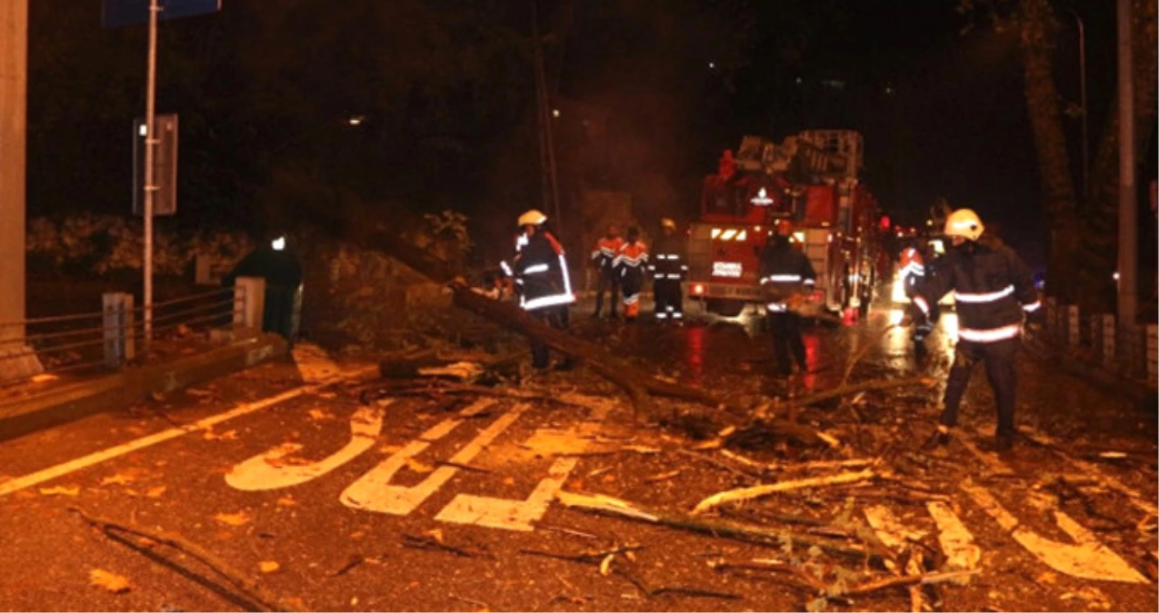 Sarıyer\'de Tünel Girişine Ağaç Devrildi, Yol Trafiğe Kapandı