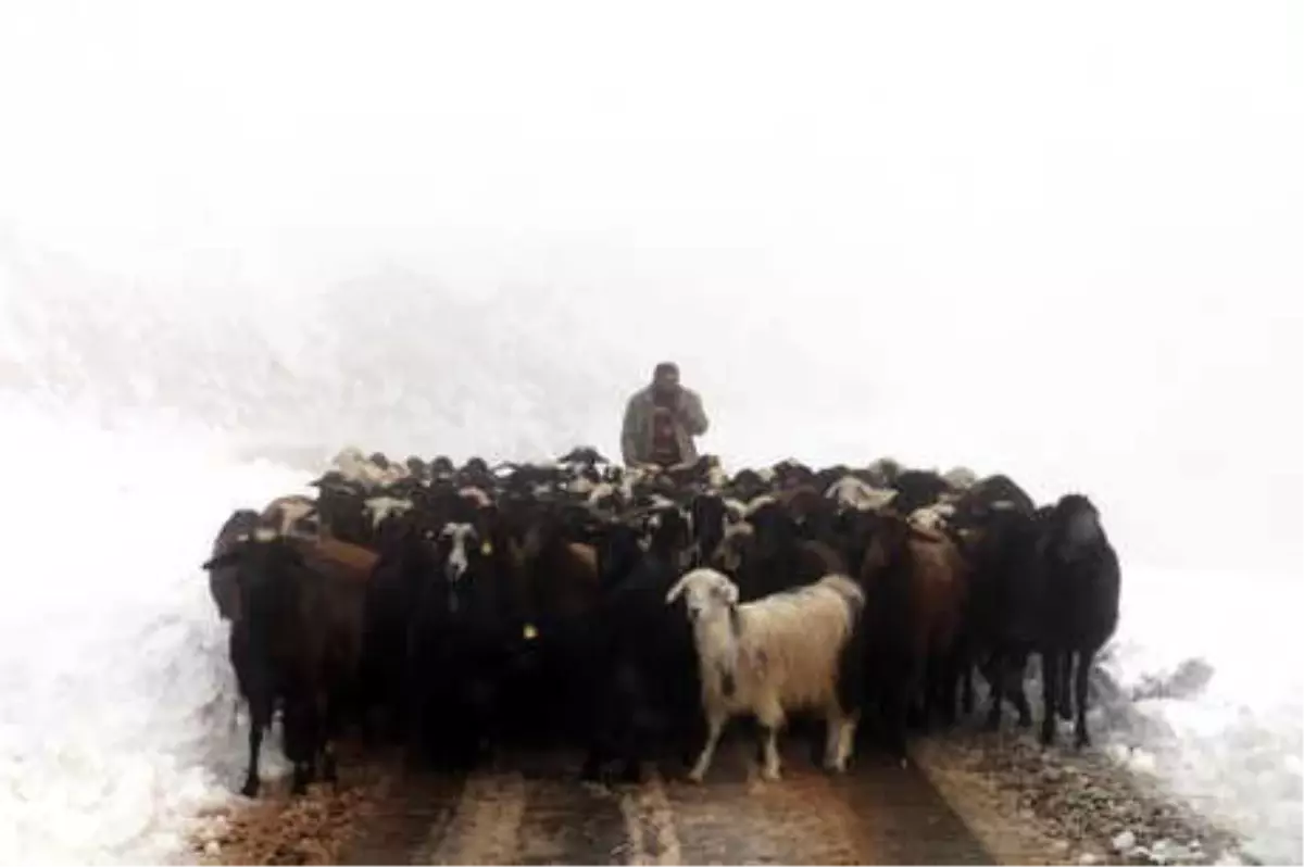 Yayla Dönüşü Kara Yakalandılar