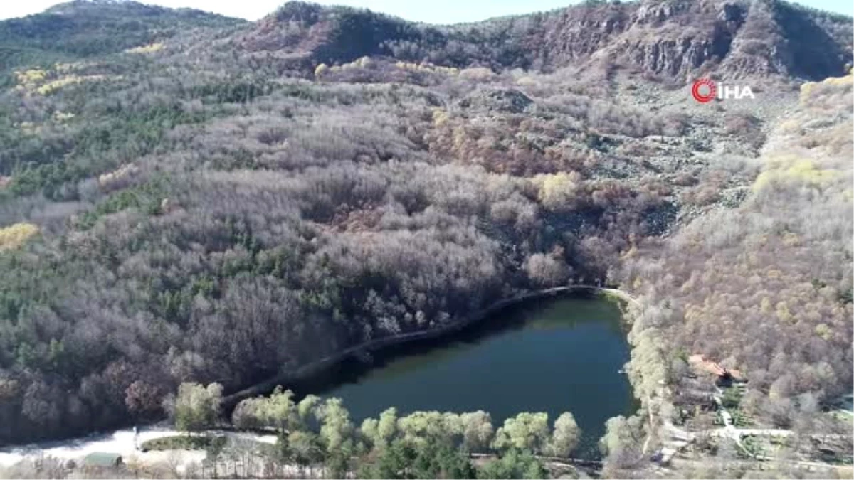 Başkent Parklarında Sonbahar Şöleni