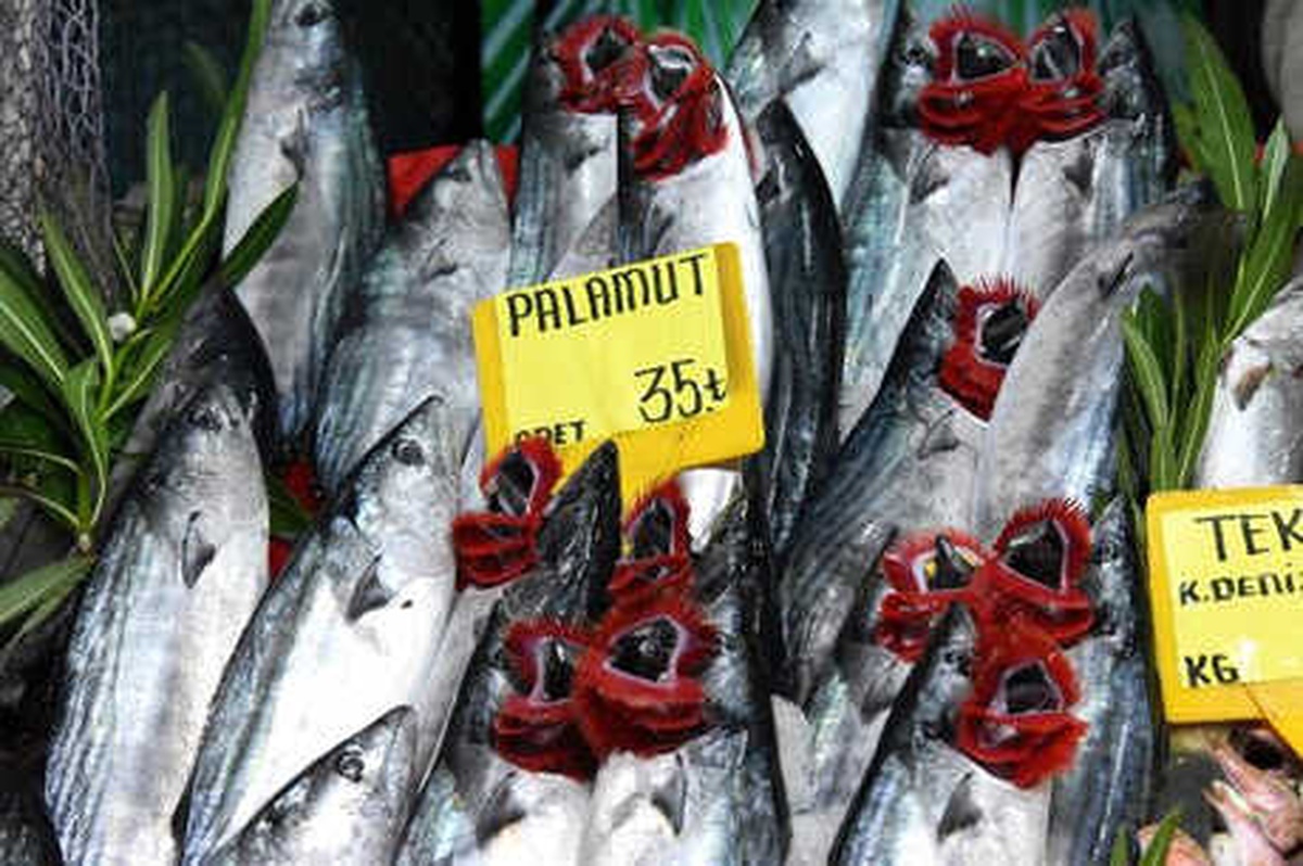 Palamudun Fiyatı, Sezonu Biterken 35 TL\'ye Çıktı