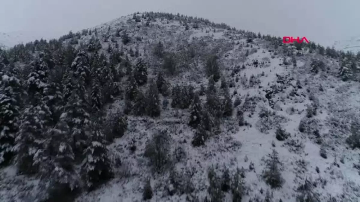 Trabzon Yaylacılar Kara Yakalandı