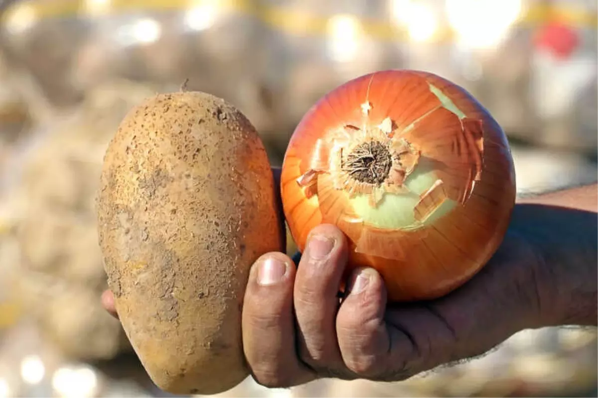 Tüketiciye Patates ve Soğandan Bir Kötü Haber Daha