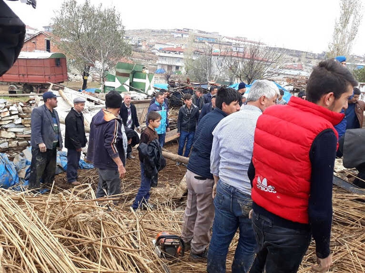 Ahır Çöktü, Çok Sayıda Koyun Telef Oldu