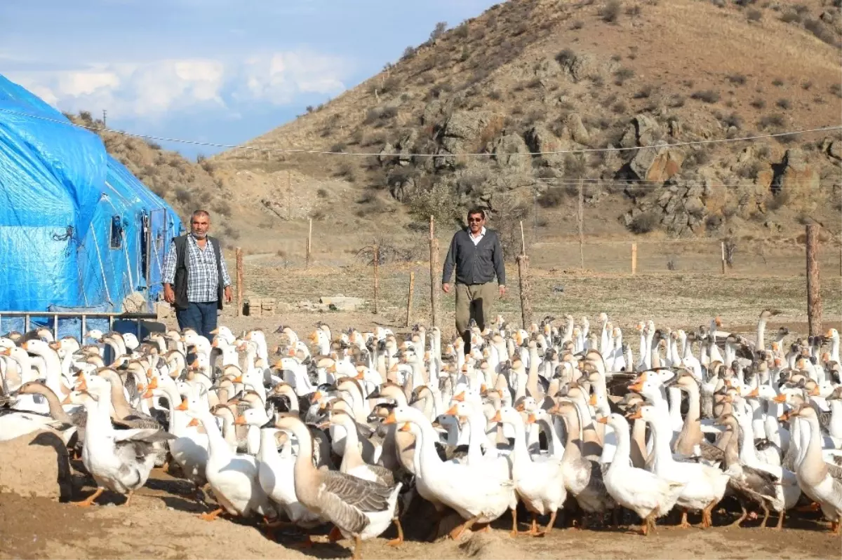 Emekli Olup Kaz Çiftliği Kurdular