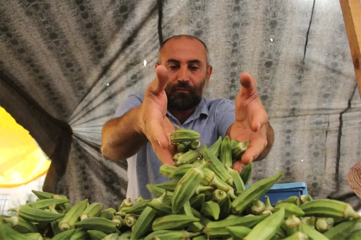 Pazarcının Satışlarına "Diksiyon" Dopingi