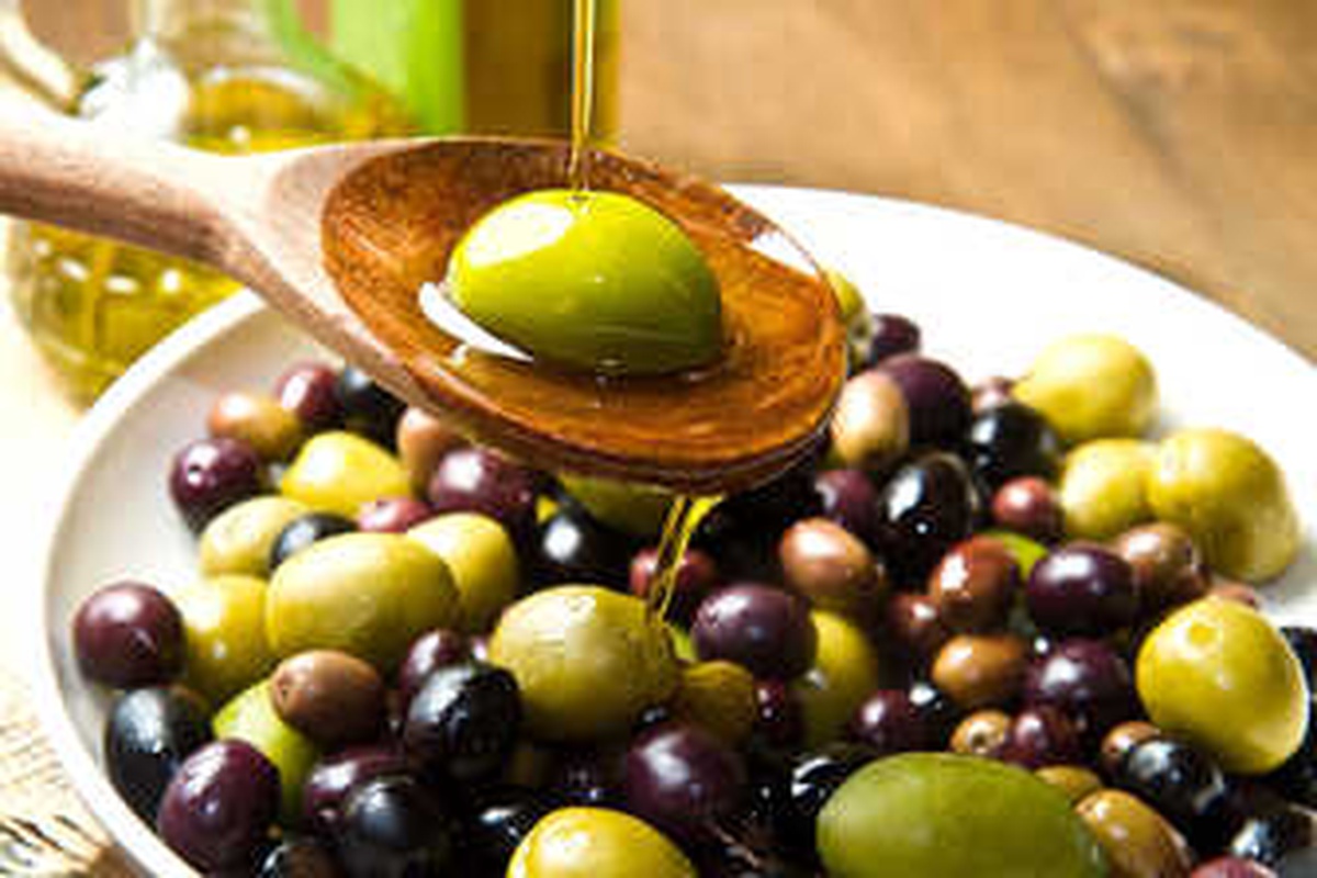 Akhisar\'da Dünya Zeytin Günü Buluşması