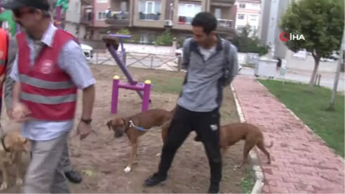 Çocuk Parkında Patileri Kesilerek Köpeği Öldüreni İhbar Edene Para Ödülü