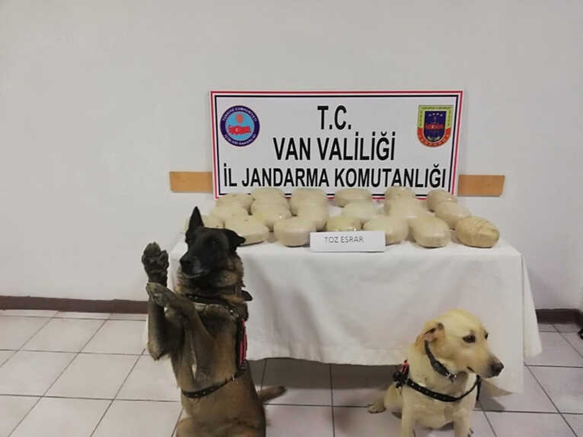 Odunların Altında 24 Kilo Esrar Çıktı