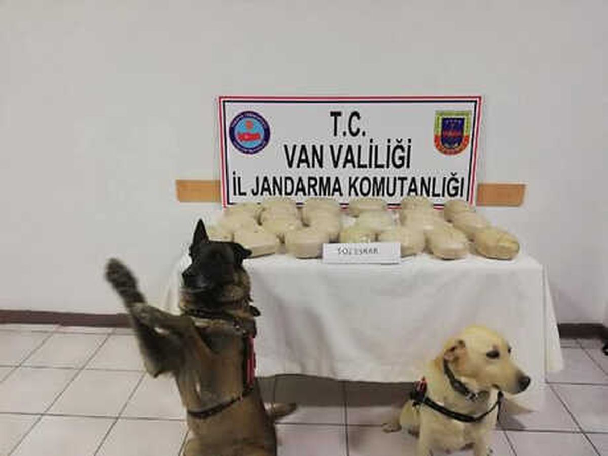 Van\'da Kamyonet Kasasındaki Odunların Arasından Esrar Çıktı