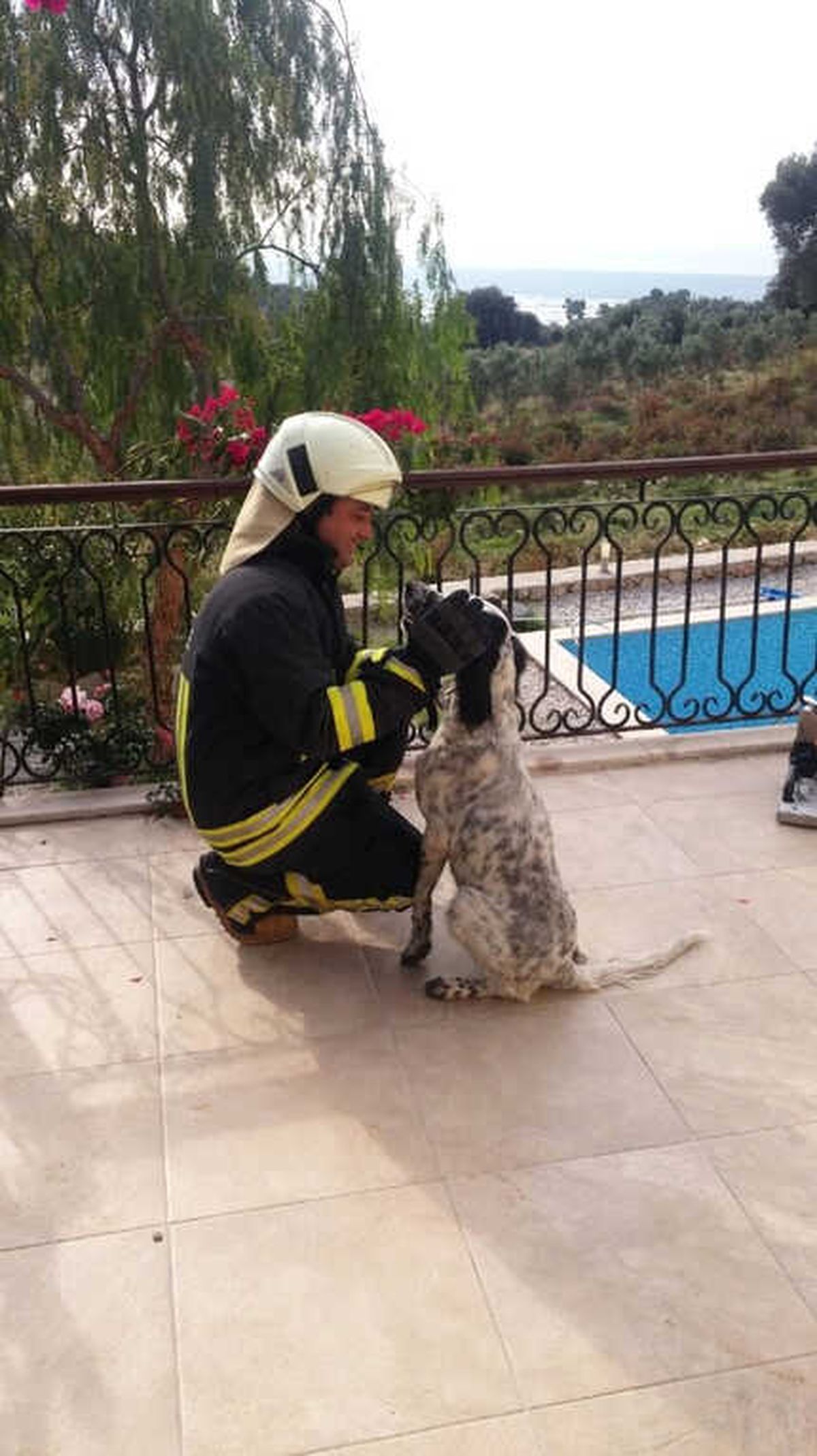 Balkon Korkuluğa Sıkışan Köpeği İtfaiye Kurtardı