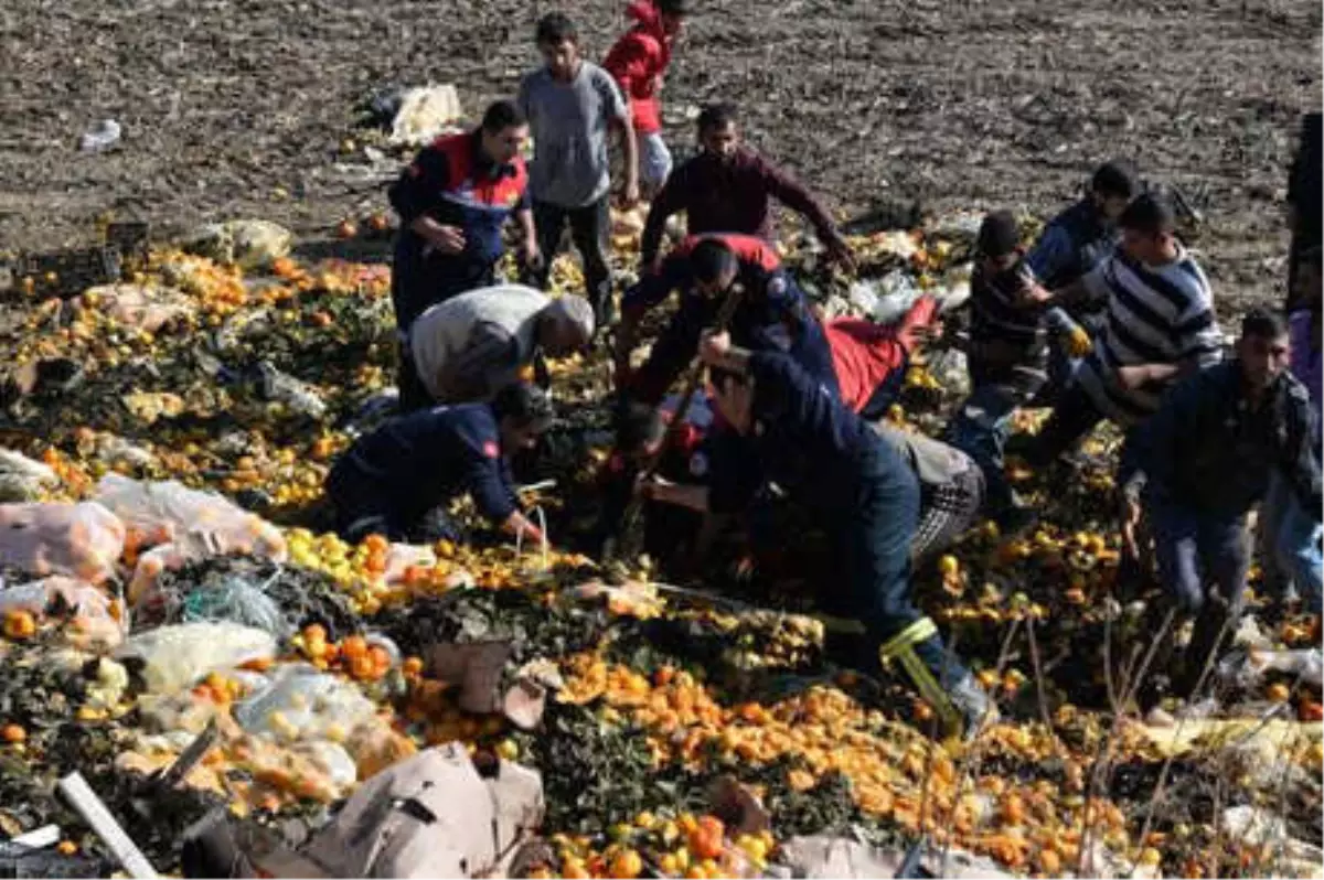 Narenciye Posası Altında Kalan Halil, Yaşamını Yitirdi