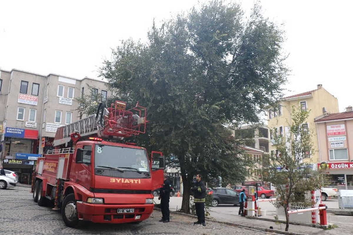 İlk Kez Sokağa Çıktı, Hayatının Şokunu Yaşadı