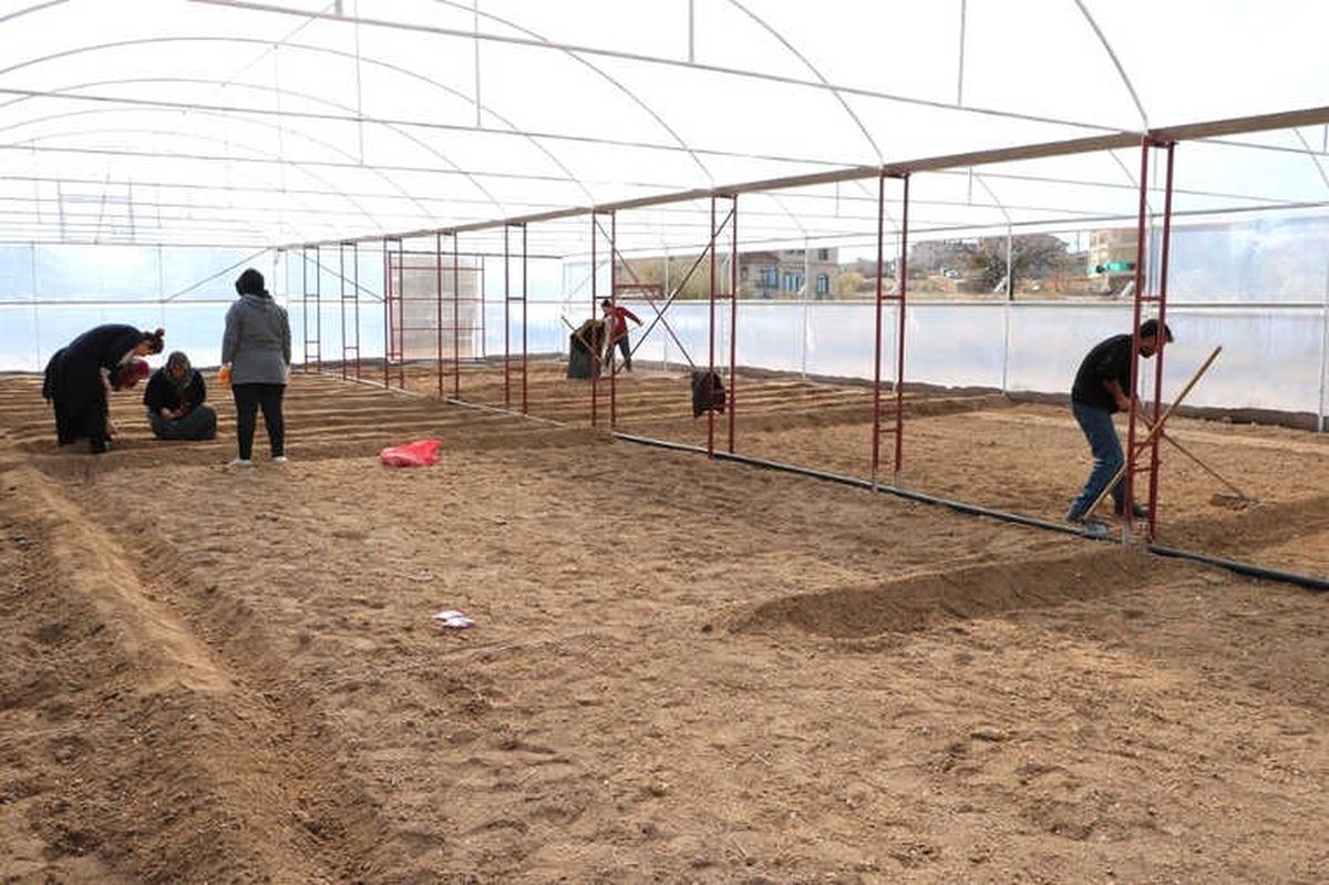 Uçhisar Belediyesi Sera Üretimine Başladı