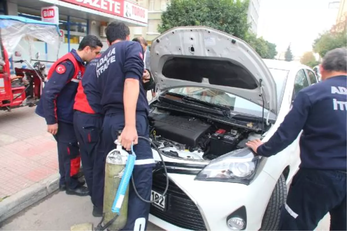 4 Aracın Motor Bölümüne Giren Yavru Kediyi Cankur Çıkardı