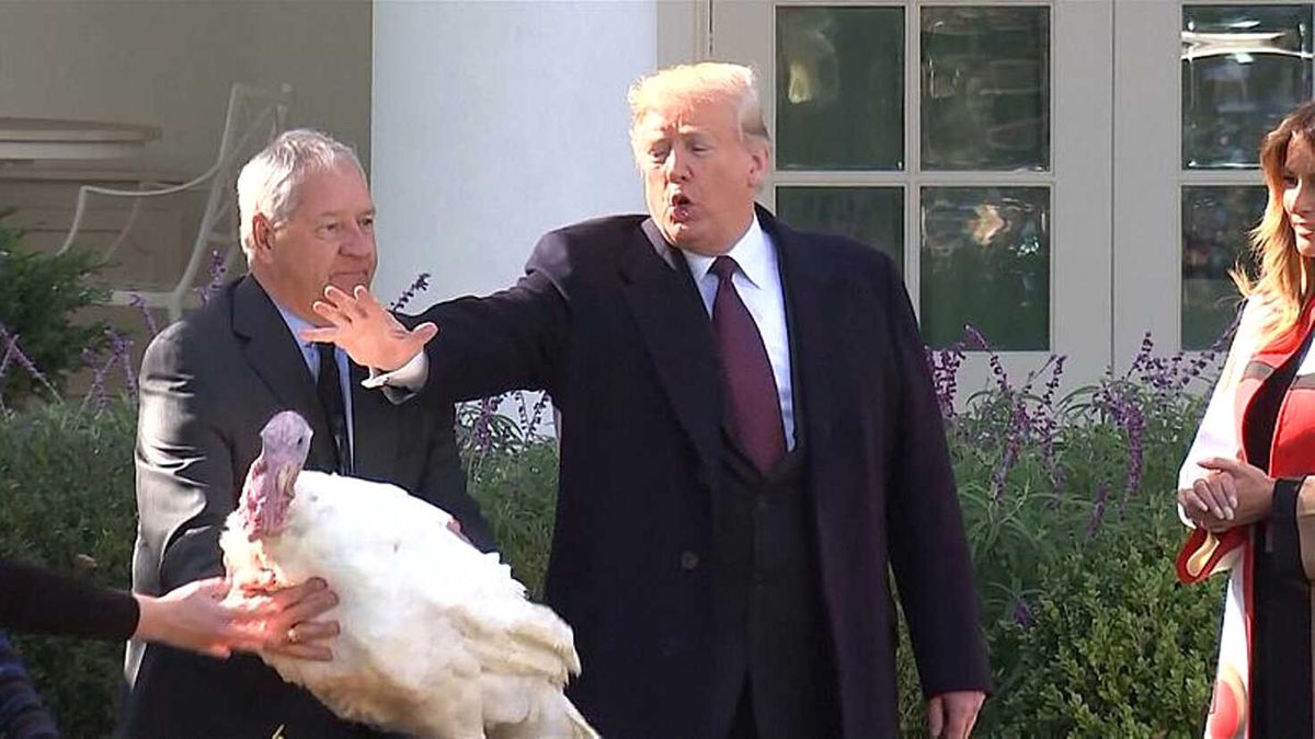 ABD Başkanı Trump Şükran Günü Hindilerini Affetti