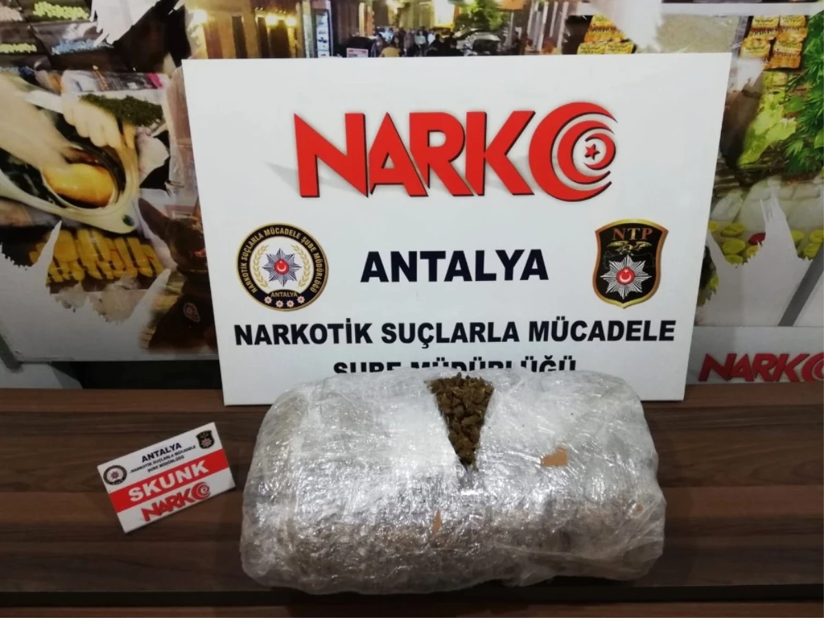 Antalya\'da 9.5 Kilo Skunk Ele Geçirildi