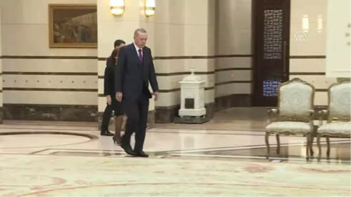 Cumhurbaşkanı Erdoğan\'ın Kabulü