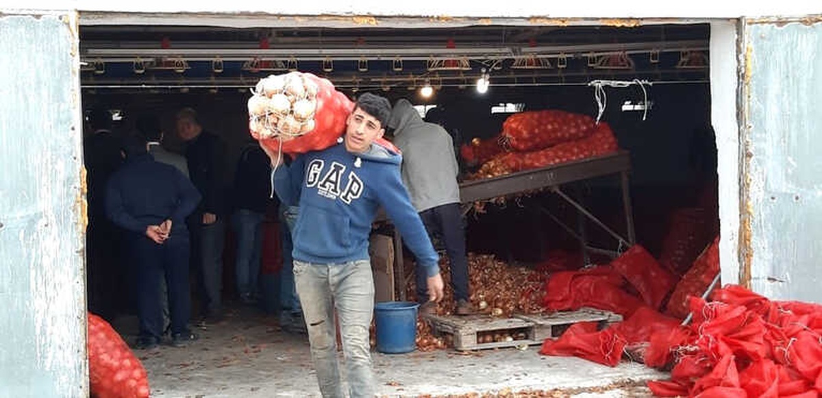 Depolara Baskın Yapıldı, Soğan Fiyatları 30 Kuruş Düştü