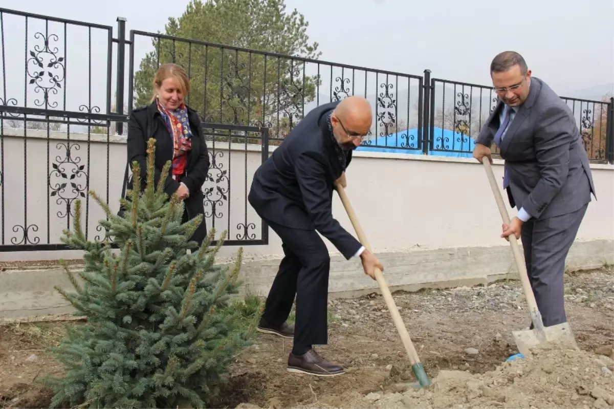 Dünya Koah Günü Dolayısıyla Fidan Dikimi Yapıldı