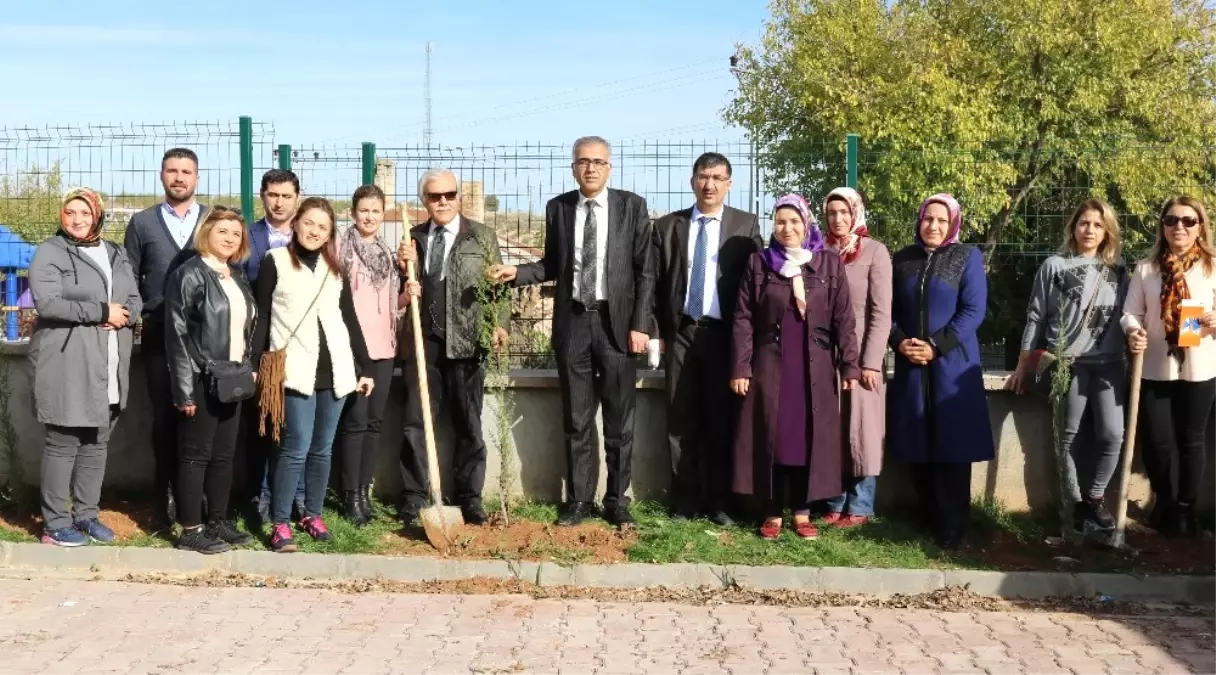 Koah Gününde Fidan Dikildi