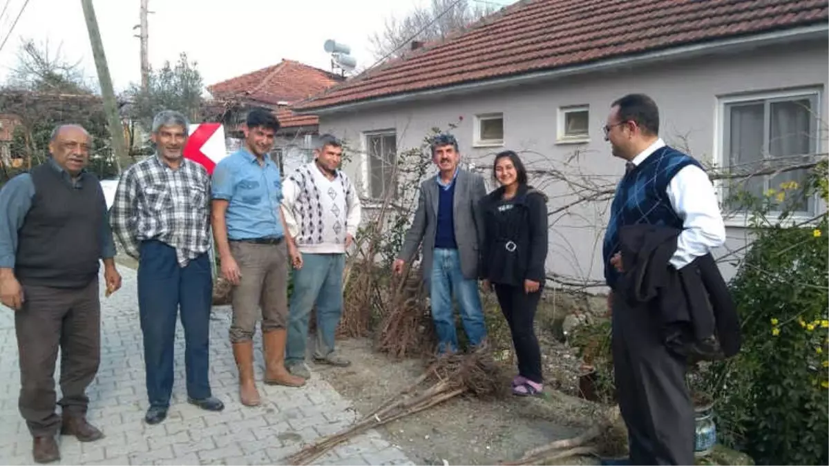 Köyceğizli Çiftçiye Pikan Cevizi ve İncir Eğitimi