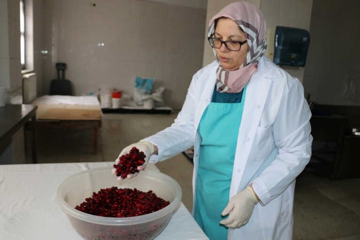 Bolu\'nun Tescilli \'Kızılcık Tarhanası\' Özellikle Kış Aylarında Şifa Oluyor