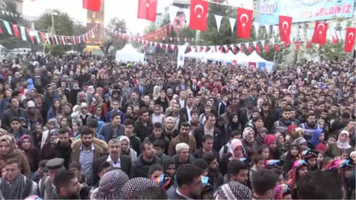 Siirt\'te Hamsi Festivali (2)