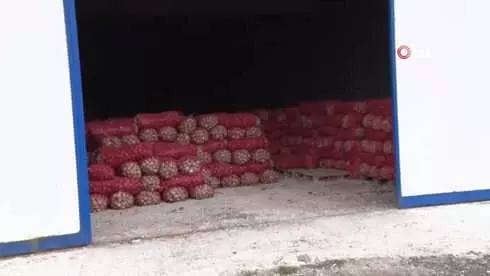 Ankara Komik Resimler Ankara Nin Buglari