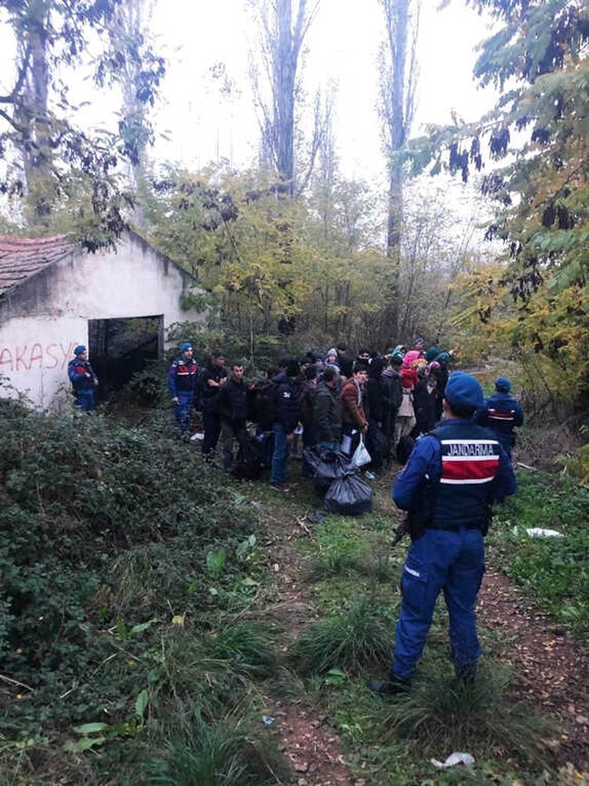 Ayvalık\'ta 31 Göçmen ile 1 Organizatör Jandarmaya Yakalandı