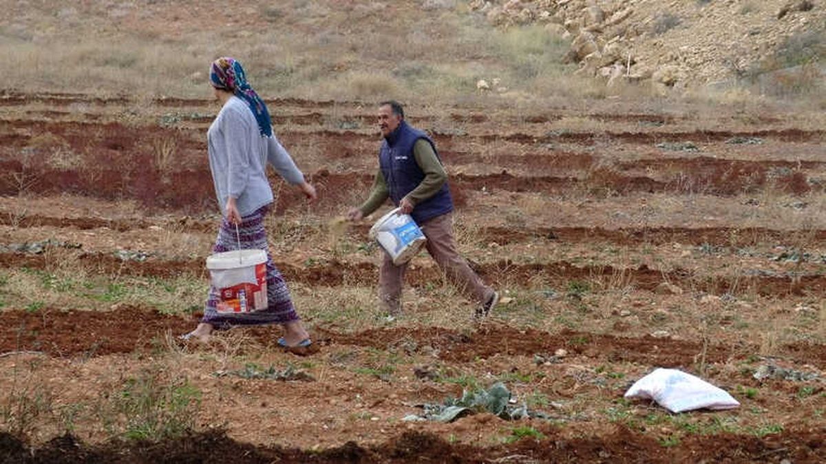 Gercüş\'te İlkel Yöntemlerle Tarım Devam Ediyor