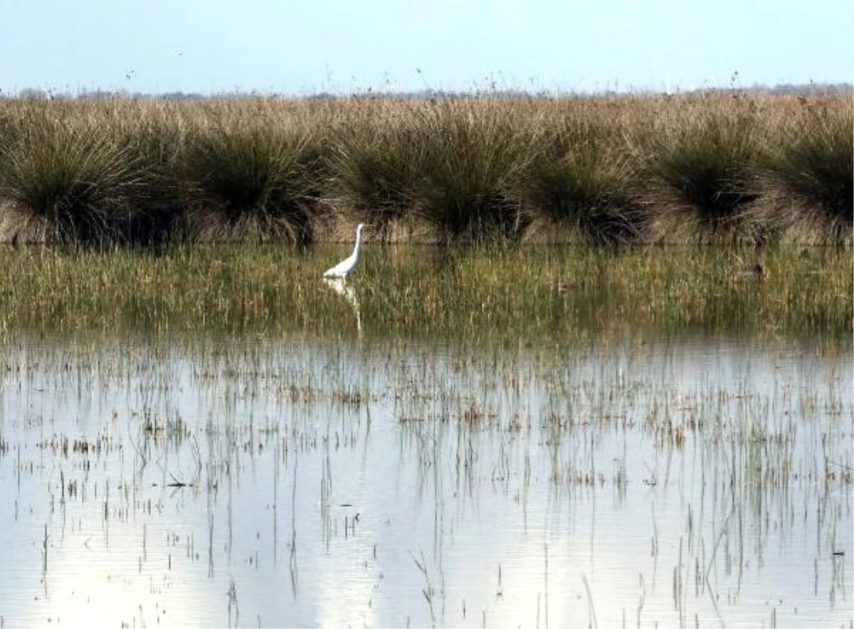 Kızılırmak Deltası Kuş Cennetine Girişlere Sınırlama