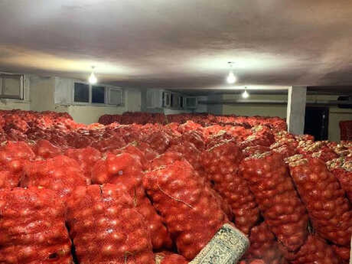 Mardin\'de Bir Depoda 30 Ton Soğan Ele Geçirildi