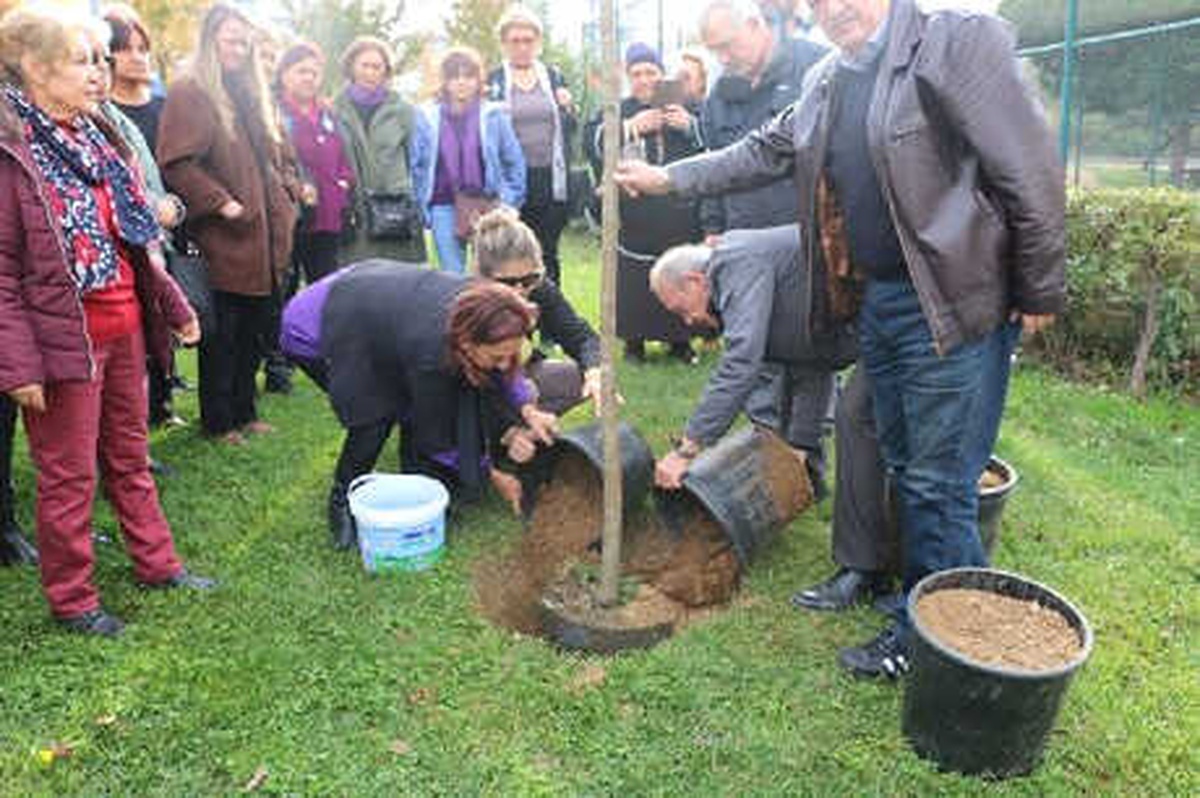 Şehitler Fidanlar ile Yaşayacak
